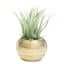 Crosby St. Indoor Gold Round Textured Planter, 4"