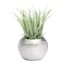 Crosby St. Indoor Silver Round Textured Pot, 4"