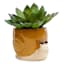 Honeybloom Indoor Brown Snail Planter, 2.8"