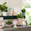 Glenco Patio Storage Box, 51x23