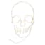 LED Plastic Frame Skull, 10x16