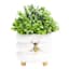 Honeybloom Indoor White Honeybee Stoneware Pot, Medium