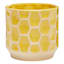 Honeycomb Indoor Yellow Patterned Stoneware Pot, Small
