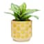 Honeycomb Indoor Yellow Patterned Stoneware Pot, Small