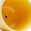 Indoor Elsie Yellow Stoneware Ceramic Pot, Small