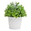 Providence Indoor White Ceramic Weave Planter, 5"