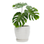 Providence Indoor White Tile Print Planter with Saucer, 4.5"