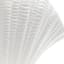 Providence Indoor White Clam Shell Planter, 4"