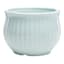 Providence Indoor Light Blue Cabbage Planter, 5.5"