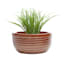 Found & Fable Brown & Taupe Bowl Outdoor Planter, Small