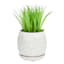 Indoor White Butterfly Pot, Small
