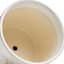 Indoor Dahlia White Pot, Small