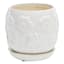 Indoor White Daisy Pot, Small