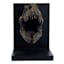 1-Piece Bronze T-Rex Fossil Head Bookend, 7"