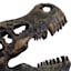 1-Piece Bronze T-Rex Fossil Head Bookend, 7"
