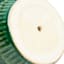 Found & Fable Indoor Green Glazed Ceramic Nico Pot, 8.7"