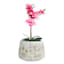 Ty Pennington Indoor White Ceramic Atlantis Planter, Medium