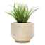 Ty Pennington Hollow Wood Outdoor Planter, Medium
