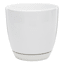 Indoor Elsie White Stoneware Ceramic Pot, Medium