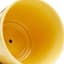 Indoor Elsie Yellow Stoneware Ceramic Pot, Medium