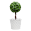 Providence Indoor White Ceramic Weave Planter, 8"