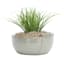 Crosby St. Grey Petal Low Bowl Outdoor Planter, Small
