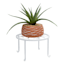 White Plant Riser, Large