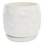 Indoor White Butterfly Planter, Medium