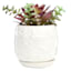 Indoor White Butterfly Planter, Medium
