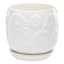 Indoor White Daisy Pot, Medium