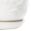 Indoor White Daisy Pot, Medium
