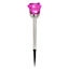 Solar Color Changing Rose Pathway Light