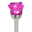 Solar Color Changing Rose Pathway Light