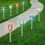 Solar Color Changing Rose Pathway Light