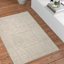 (D607) Crosby St. Athena Cosmo Cream High-Low Accent Rug, 3x5