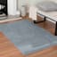 Mist Blue Tufted Accent Rug, 4x6