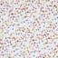 Oh Joy! Confetti Printed Micro Plush Throw Blanket, 50x60