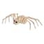 Halloween Mini Spider Skeleton