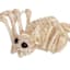 Halloween Mini Spider Skeleton