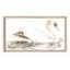 Providence Glass Framed Vintage Swan Study Wall Art, 30x18