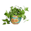 Sunflower Mosaic Tile Ceramic Outdoor Planter, Small
