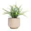 Ty Pennington Hollow Wood Outdoor Planter, Large