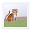 Tiny Dreamers 3-Piece Animal Wall Mirror Set, 12"