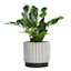Crosby St. Indoor Black & White Stripe Planter, Large