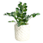 Ty Pennington Indoor White Cable Knit Ceramic Planter, Medium