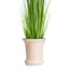 Providence Indoor June Pink Ceramic Planter, 9.8"