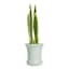 Providence Indoor June Green Ceramic Planter, 7.5"