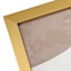 Glass Framed Botanicals Print Wall Art, 14x18
