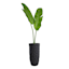 Crosby St. Elena Black Outdoor Planter, Small