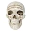 Spellbound Halloween Ouija Skull, 6"